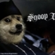 Dogecoin Smokes Its All-Time High After Snoop Dogg Becomes Snoop DOGE